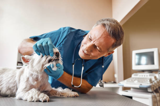 Best Emergency Root Canal Treatment in Cowan, TN